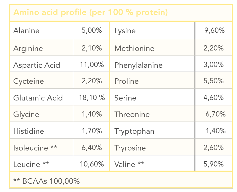 Profil d’acides aminés Shake protéiné Banane ENG